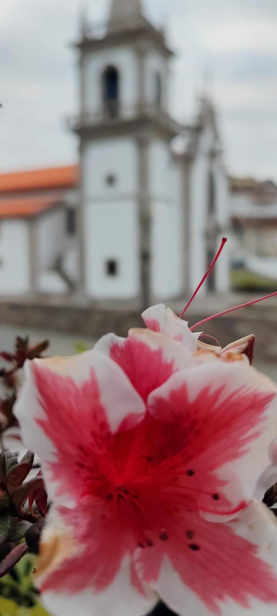 Donna Nega Alojamento Local Caminha Exterior foto